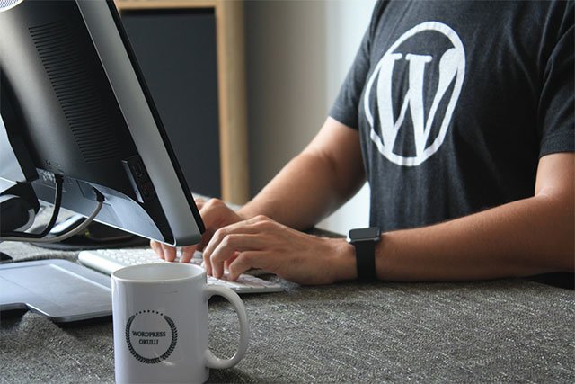 ecommerce con wordpress preview